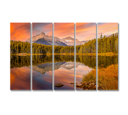 Herbert Lake Jasper National park Alberta Canada Canvas Print-Canvas Print-CetArt-5 Panels-36x24 inches-CetArt