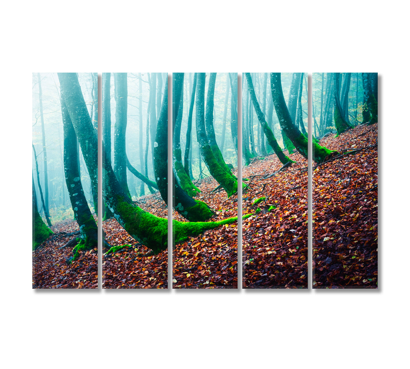 Mysterious Forest with Beech with Moss Canvas Print-Canvas Print-CetArt-5 Panels-36x24 inches-CetArt