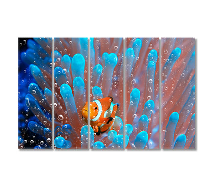 Coral Reef Underwater Clownfish in Anemone Canvas Print-Canvas Print-CetArt-5 Panels-36x24 inches-CetArt