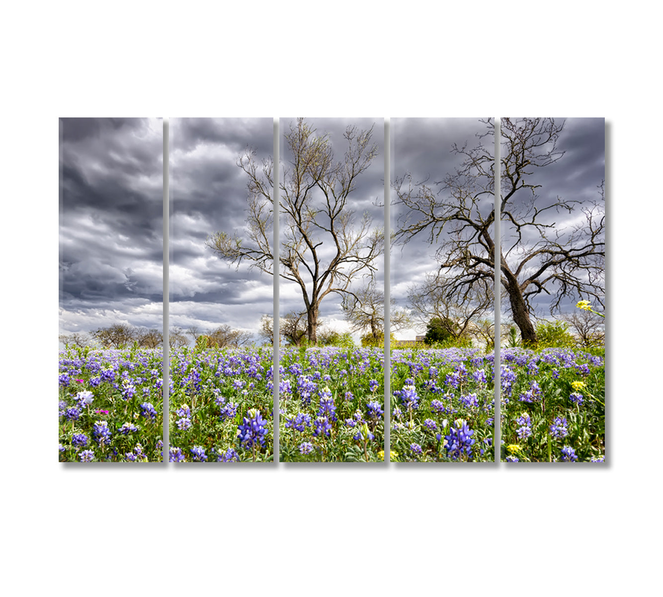 Bluebonnets Field Texas Canvas Print-Canvas Print-CetArt-5 Panels-36x24 inches-CetArt