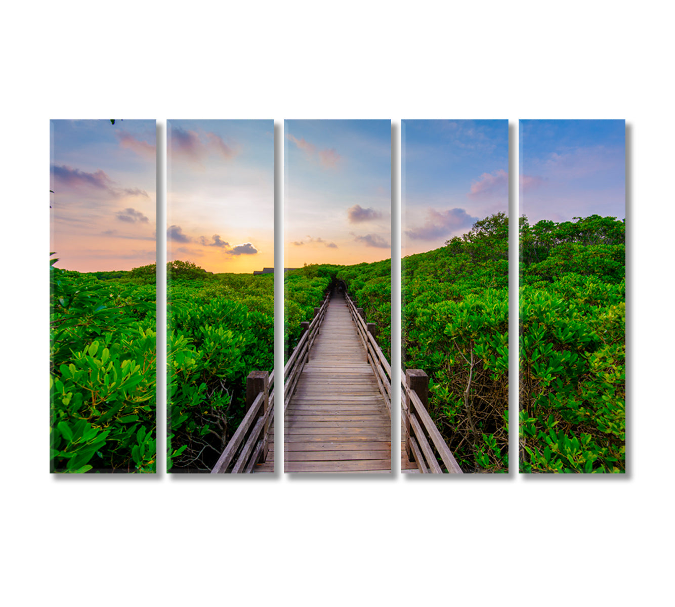 Mangrove Forest with Wood Walkway Canvas Print-Canvas Print-CetArt-5 Panels-36x24 inches-CetArt