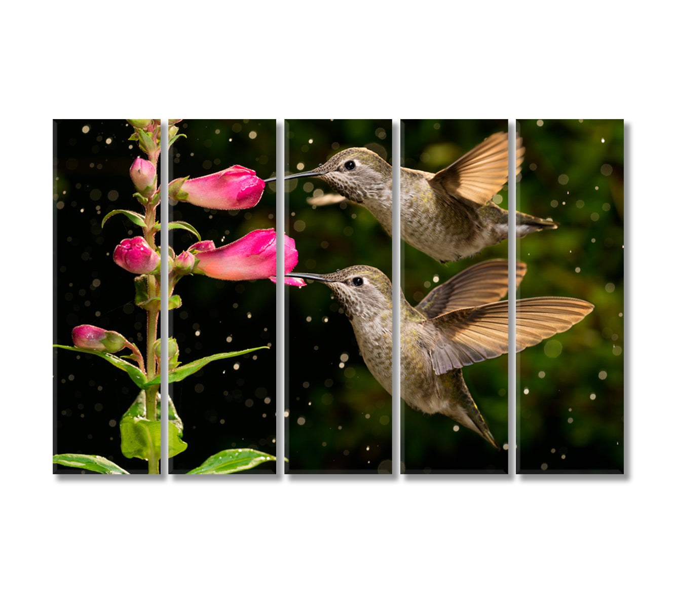 Hummingbird With Flowers Canvas Print-Canvas Print-CetArt-5 Panels-36x24 inches-CetArt