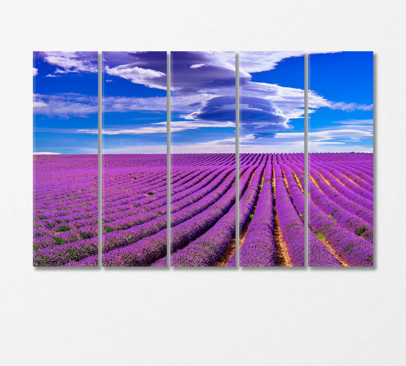 Lavender Field in France Canvas Print-Canvas Print-CetArt-5 Panels-36x24 inches-CetArt