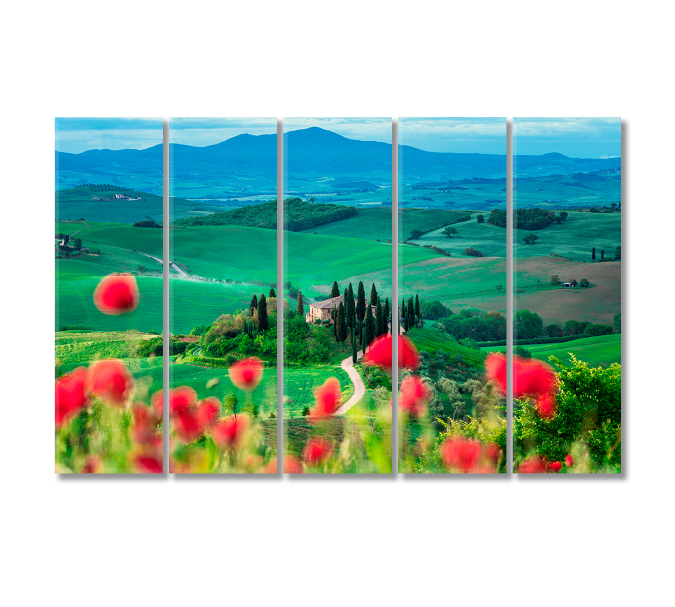 Tuscany Landscape with Poppy Flowers Canvas Print-Canvas Print-CetArt-5 Panels-36x24 inches-CetArt