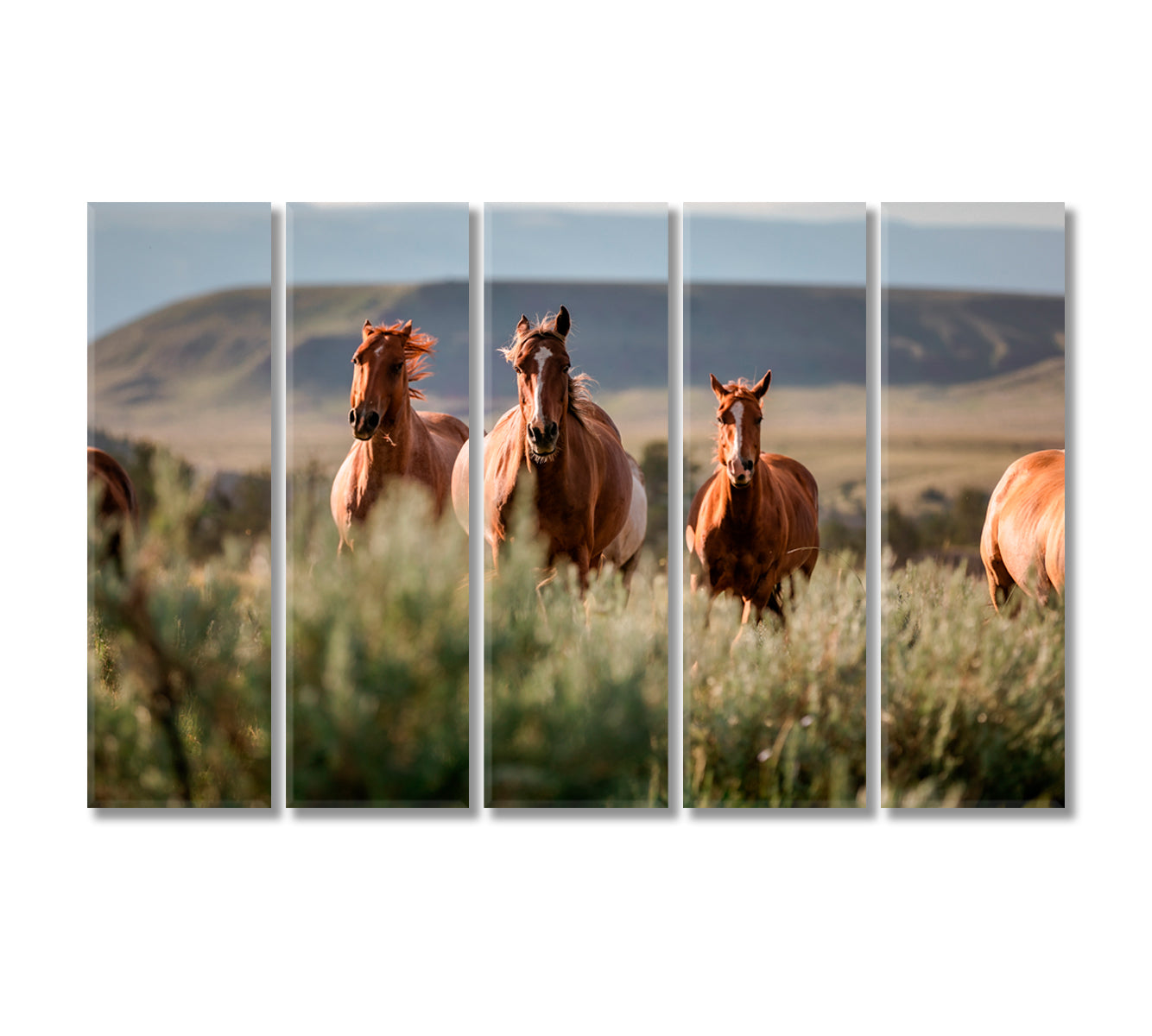 Beautiful American Horses Herd Wyoming Canvas Print-Canvas Print-CetArt-5 Panels-36x24 inches-CetArt