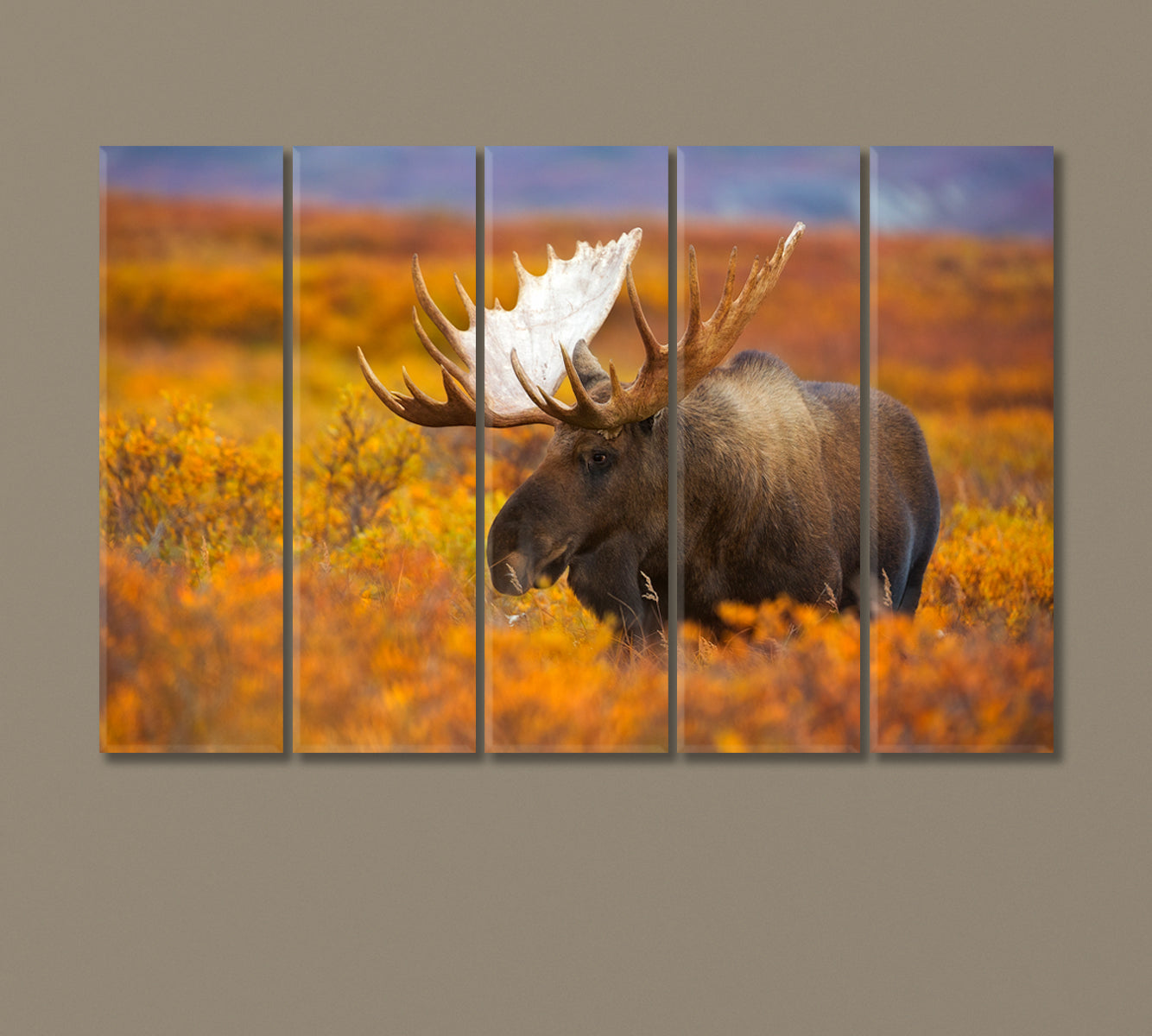 Elk in Autumn Field Canvas Print-Canvas Print-CetArt-5 Panels-36x24 inches-CetArt