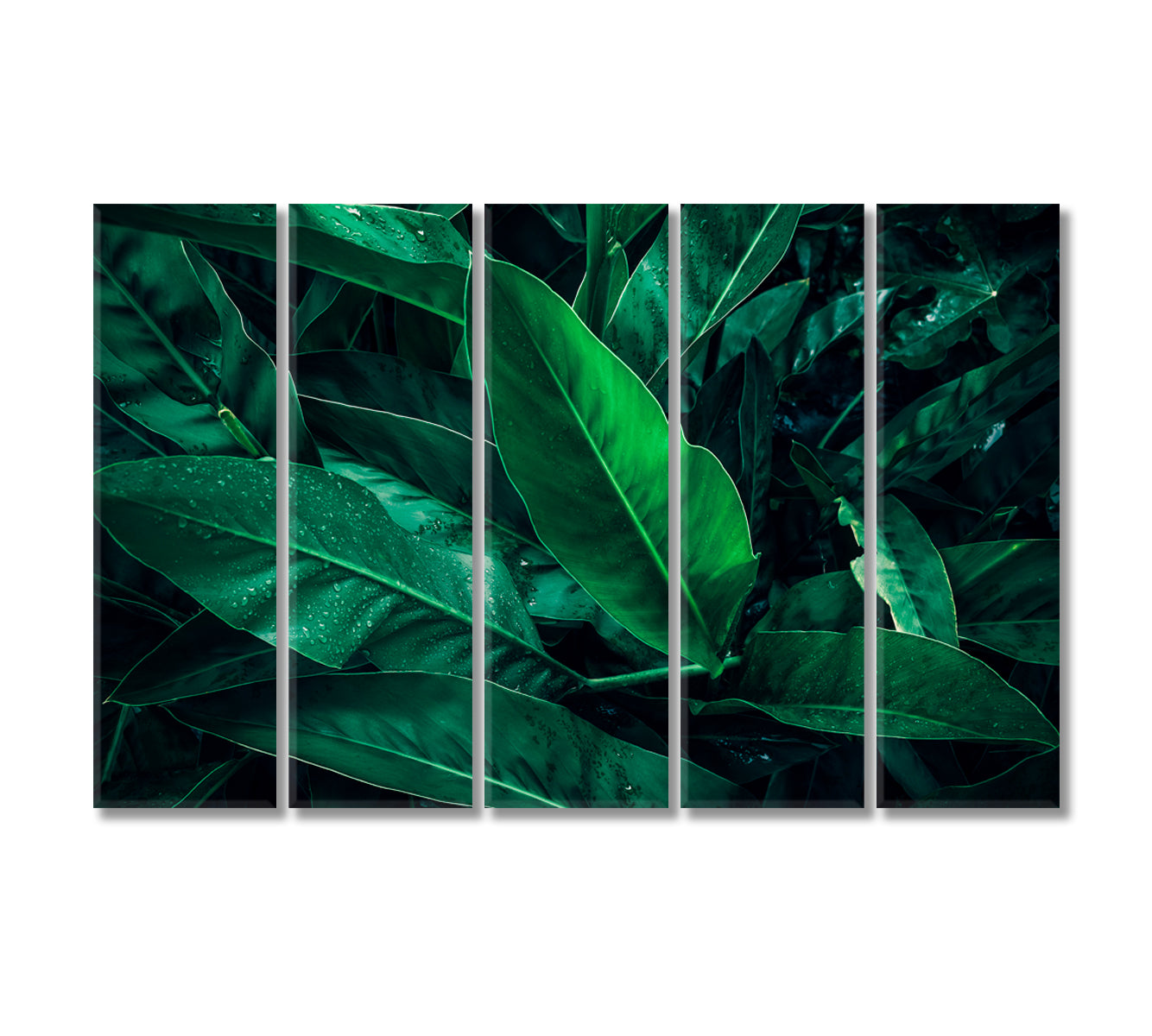 Large Tropical Leaf with Water Drops Canvas Print-Canvas Print-CetArt-5 Panels-36x24 inches-CetArt