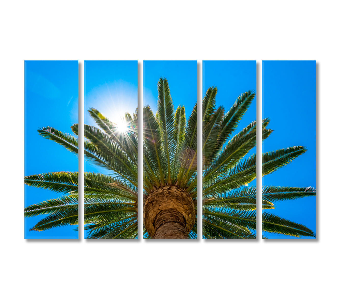 Palm Trees in Sun Rays California Canvas Print-Canvas Print-CetArt-5 Panels-36x24 inches-CetArt