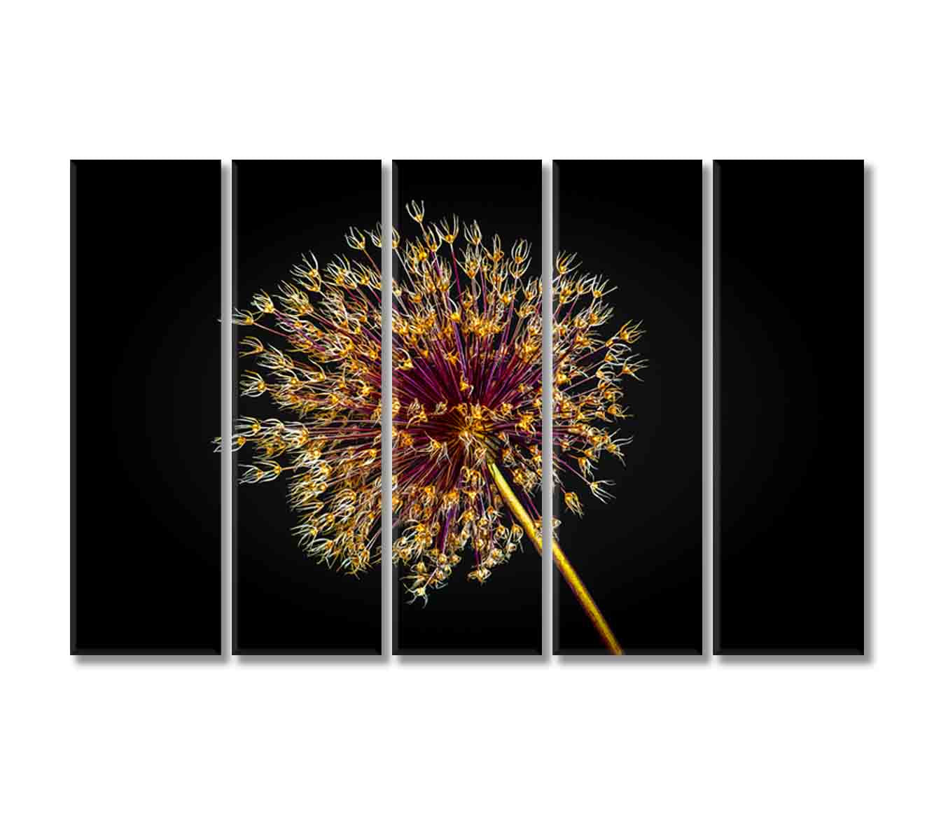 Dried Allium Flower Canvas Print-Canvas Print-CetArt-5 Panels-36x24 inches-CetArt