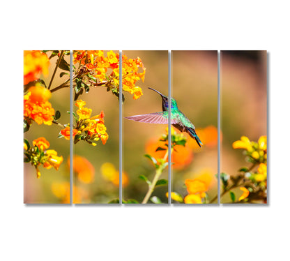 Colorful Hummingbird in Costa Rica Canvas Print-Canvas Print-CetArt-5 Panels-36x24 inches-CetArt