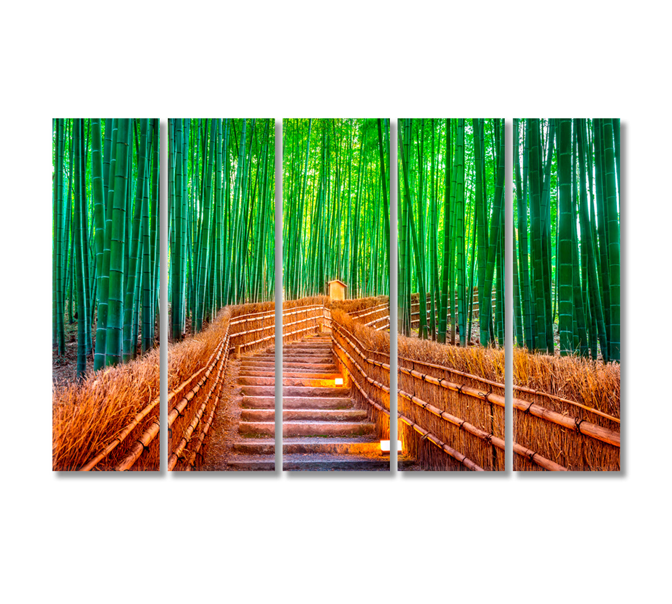 Bamboo Forest Kyoto Japan Canvas Print-Canvas Print-CetArt-5 Panels-36x24 inches-CetArt