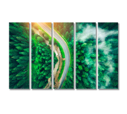 Road in Beautiful Green Pine Forest Carpathian Mountains Ukraine Canvas Print-Canvas Print-CetArt-5 Panels-36x24 inches-CetArt