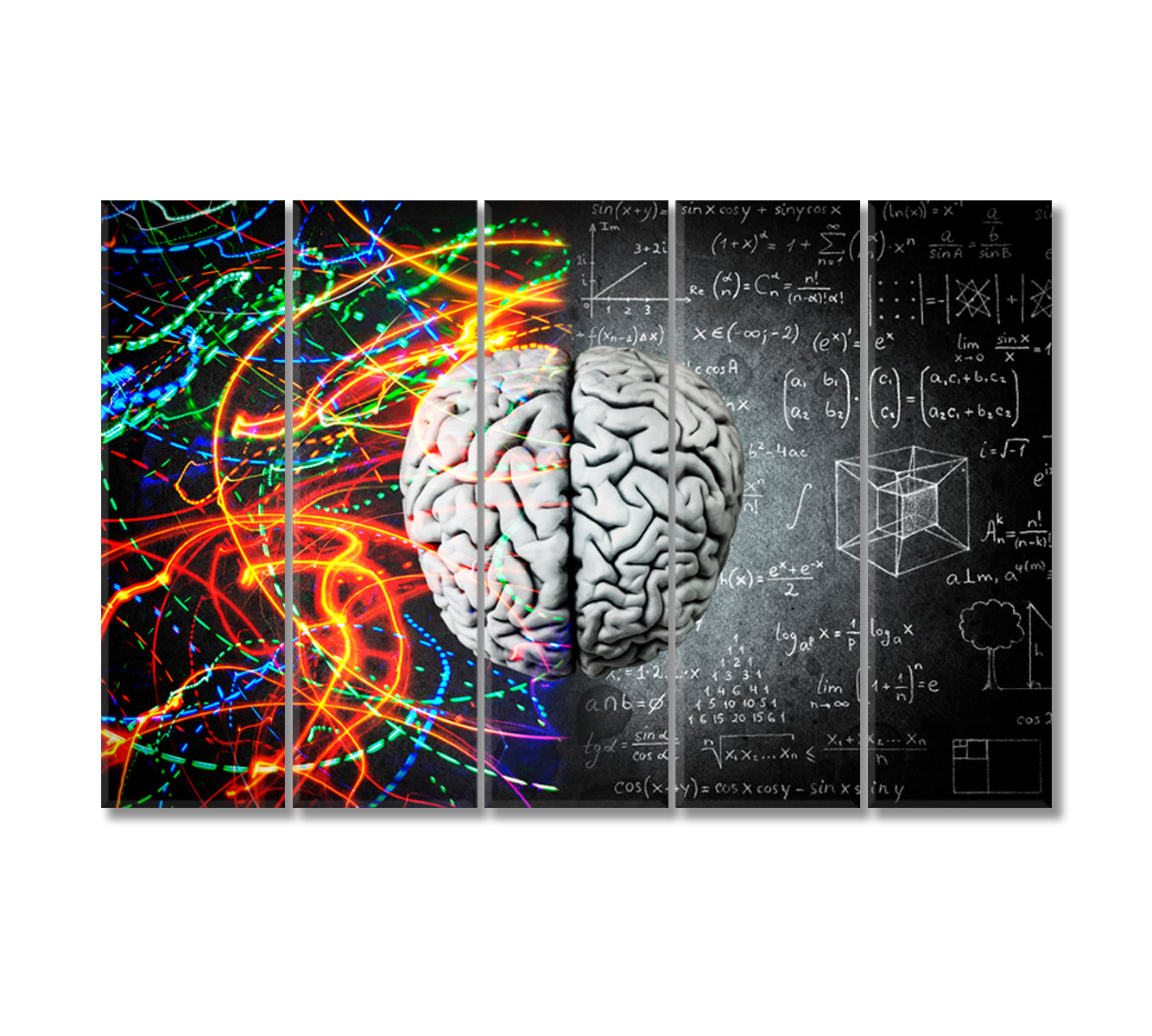 Left Brain Logical vs Right Brain Creative Canvas Print-Canvas Print-CetArt-5 Panels-36x24 inches-CetArt