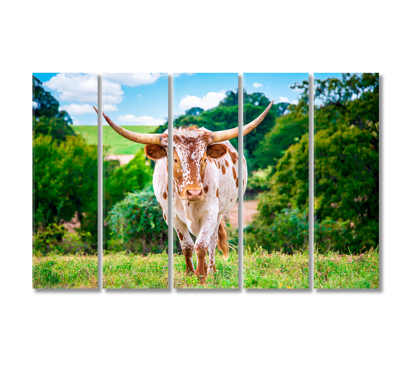 Texas Longhorn Cattle in a Summer Pasture Canvas Print-Canvas Print-CetArt-5 Panels-36x24 inches-CetArt
