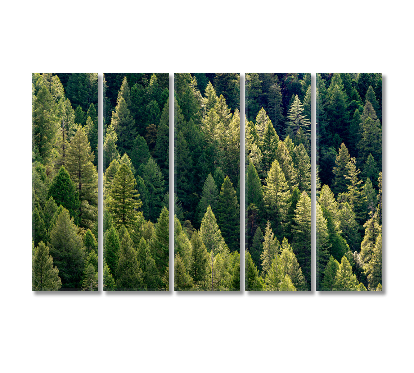 Amazing Dense Forest Canvas Print-Canvas Print-CetArt-5 Panels-36x24 inches-CetArt