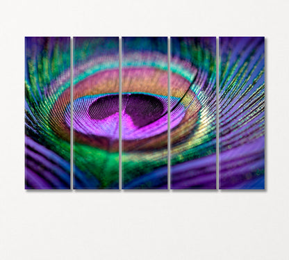 Multicolored Peacock Feather Canvas Print-Canvas Print-CetArt-5 Panels-36x24 inches-CetArt