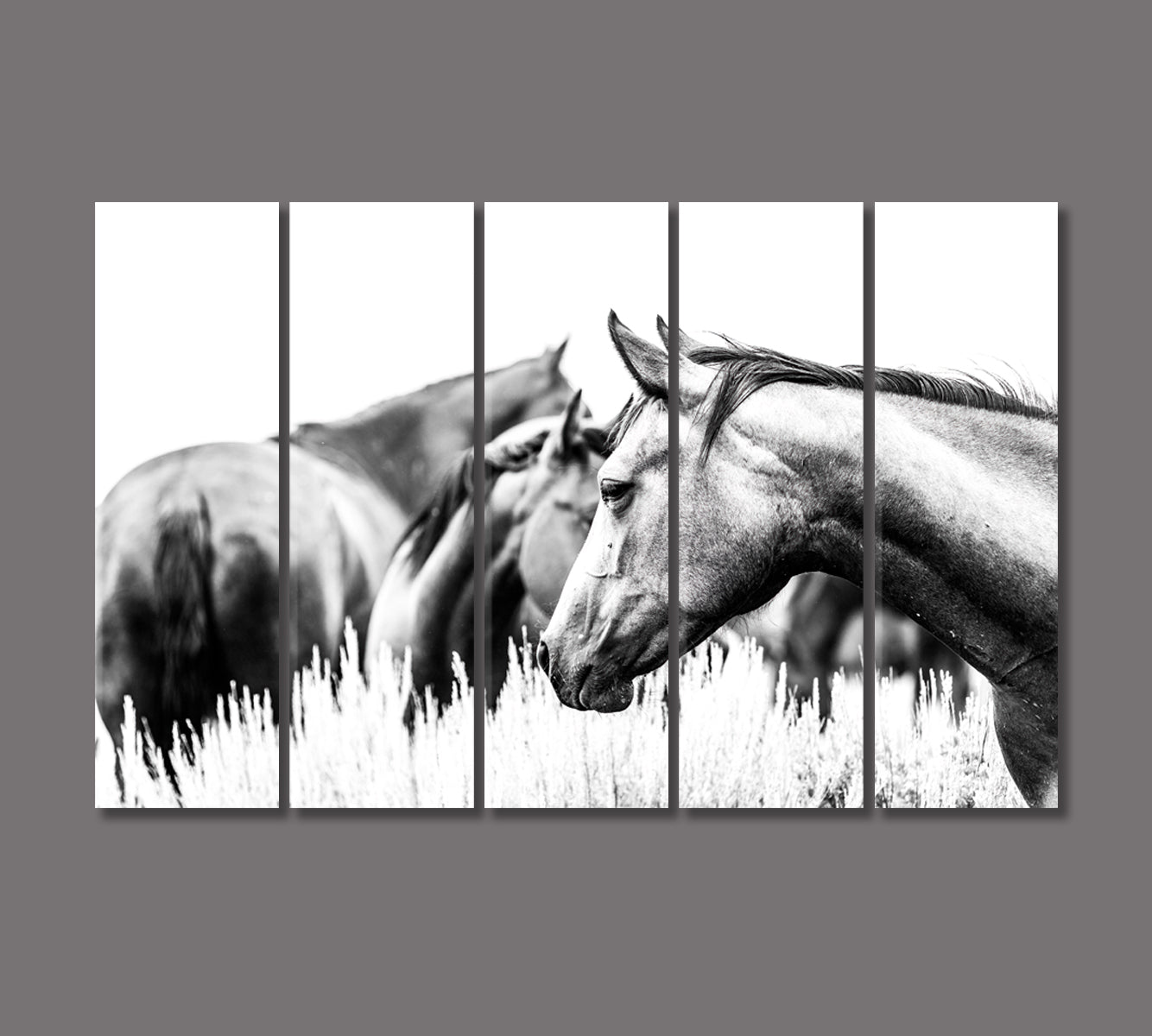 Herd of Horses in Black and White Canvas Print-Canvas Print-CetArt-5 Panels-36x24 inches-CetArt