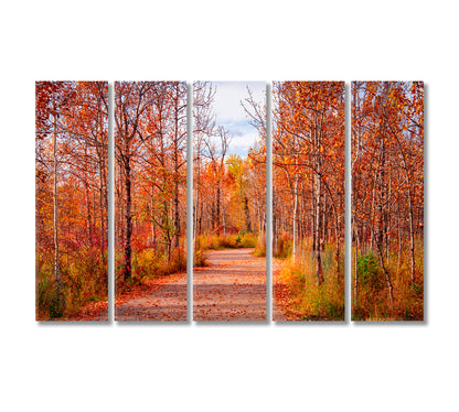 Beautiful Autumn Forest Alberta Canvas Print-Canvas Print-CetArt-5 Panels-36x24 inches-CetArt