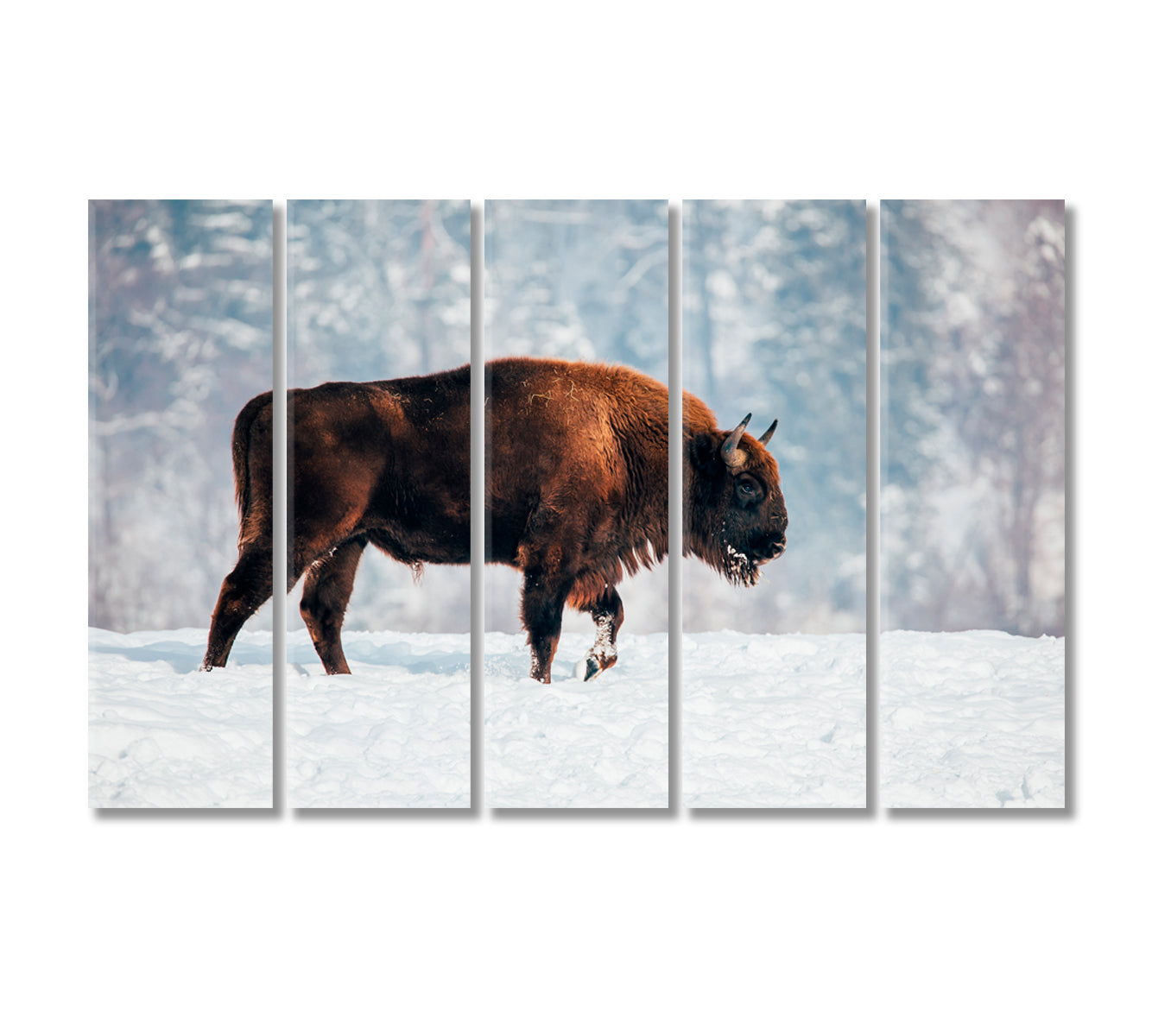 Bison in Winter Canvas Print-Canvas Print-CetArt-5 Panels-36x24 inches-CetArt