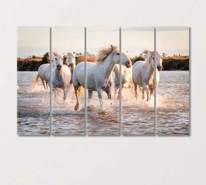 Herd of White Horses Galloping on Water Canvas Print-Canvas Print-CetArt-5 Panels-36x24 inches-CetArt