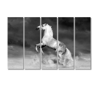 Fabulous White Horse Canvas Print-Canvas Print-CetArt-5 Panels-36x24 inches-CetArt