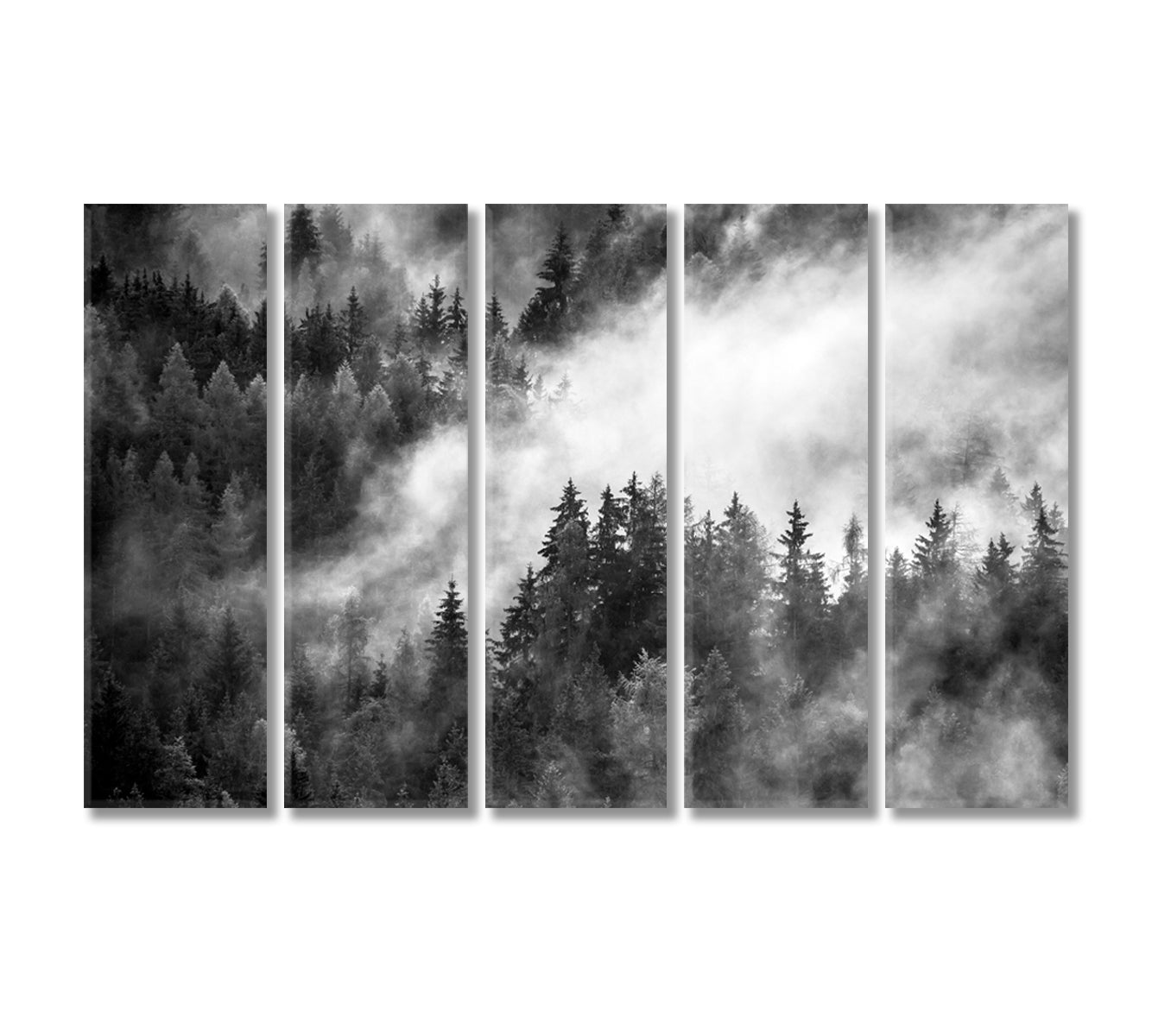 Dense Morning Fog over Spruce Forest Canvas Print-Canvas Print-CetArt-5 Panels-36x24 inches-CetArt