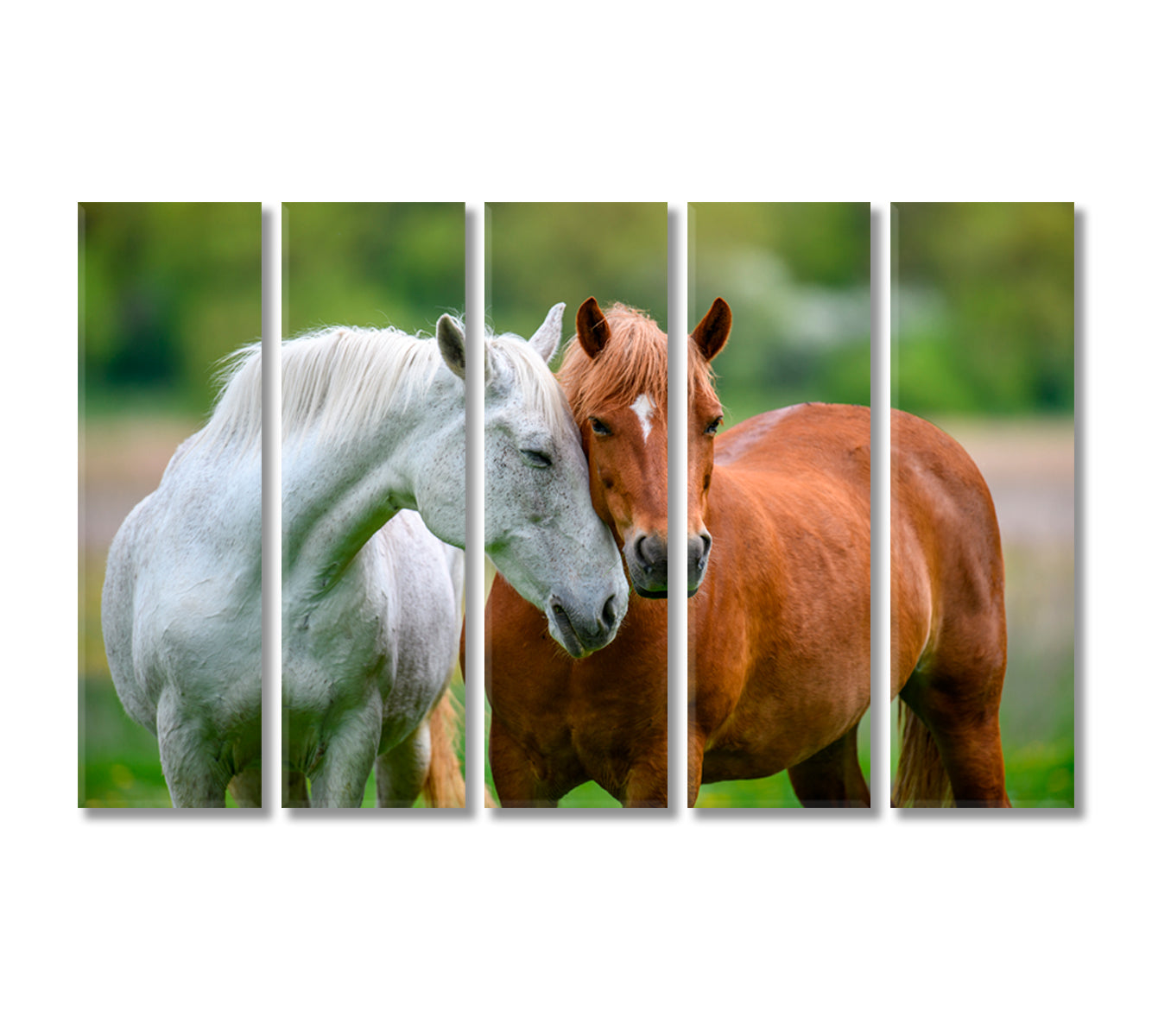 Two Lovely Horses Canvas Print-Canvas Print-CetArt-5 Panels-36x24 inches-CetArt