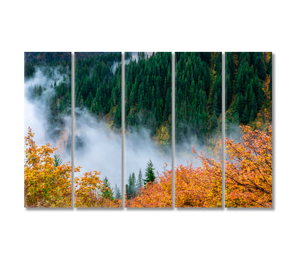 Autumn Forest at Mount Rainier National Park Seattle USA Canvas Print-Canvas Print-CetArt-5 Panels-36x24 inches-CetArt