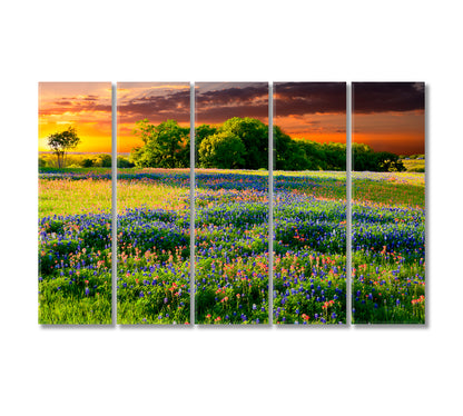 Texas Bluebonnets Canvas Print-Canvas Print-CetArt-5 Panels-36x24 inches-CetArt