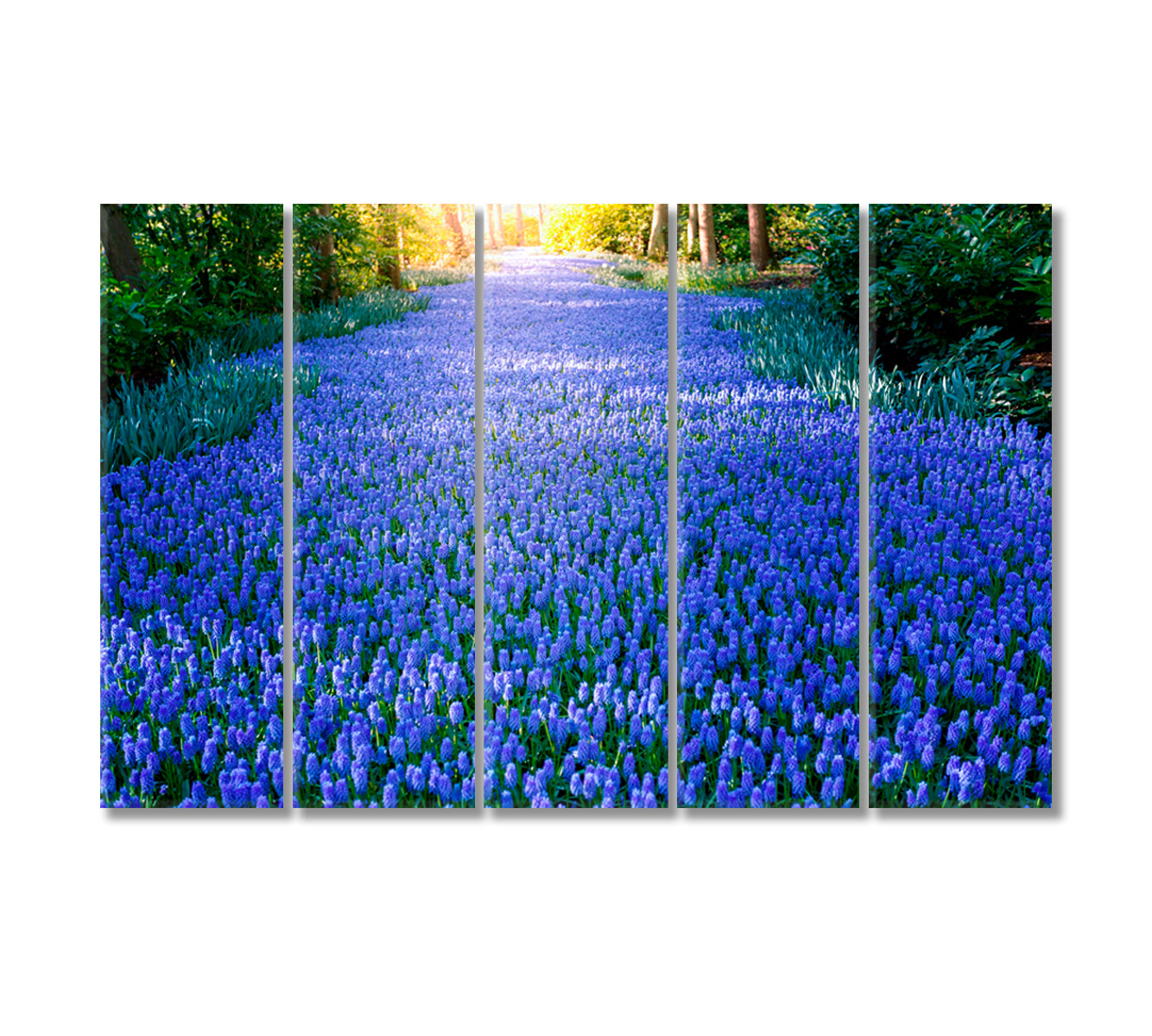 Amazing Bluebonnets Field in Forest Canvas Print-Canvas Print-CetArt-5 Panels-36x24 inches-CetArt