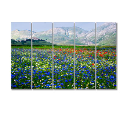 Castelluccio di Norcia Piana Grande Valley Umbria Italy Canvas Print-Canvas Print-CetArt-5 Panels-36x24 inches-CetArt