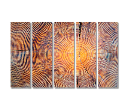 Old Cracked Log Canvas Print-Canvas Print-CetArt-5 Panels-36x24 inches-CetArt