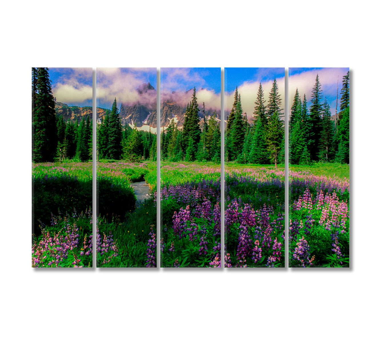 Canyon Creek Meadow and Three Fingered Jack Mountain Oregon Canvas Print-Canvas Print-CetArt-5 Panels-36x24 inches-CetArt