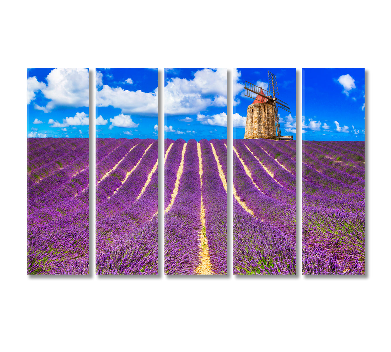 Blooming Lavender Fields Provence France Canvas Print-CetArt-5 Panels-36x24 inches-CetArt