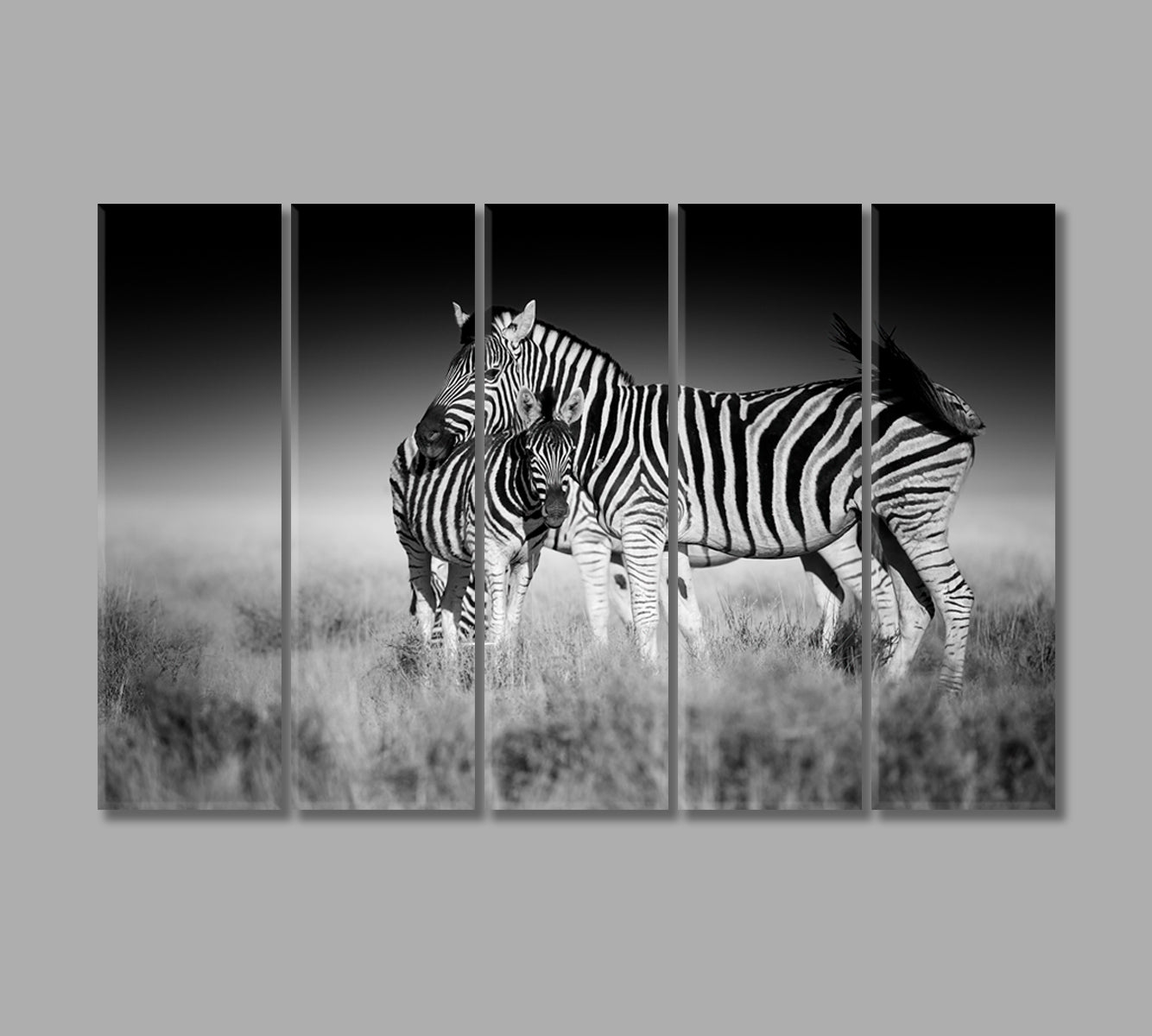 Zebra Mother and Foal in Black and White Canvas Print-Canvas Print-CetArt-5 Panels-36x24 inches-CetArt
