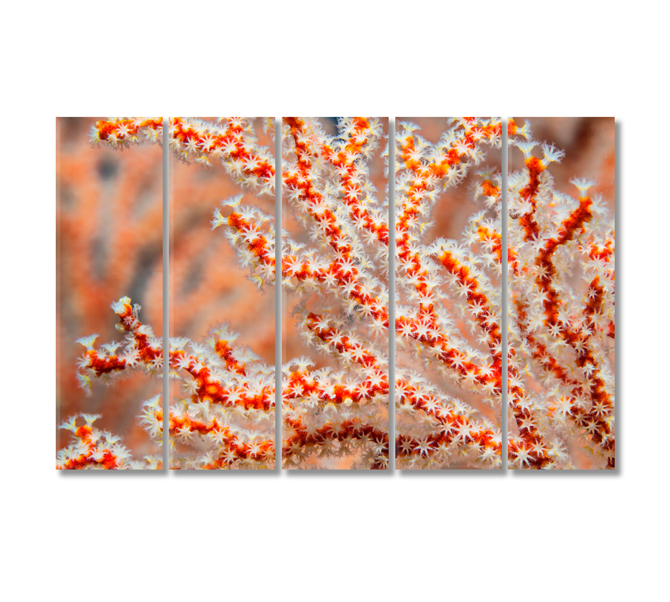 Sea Fan Coral Canvas Print-Canvas Print-CetArt-5 Panels-36x24 inches-CetArt