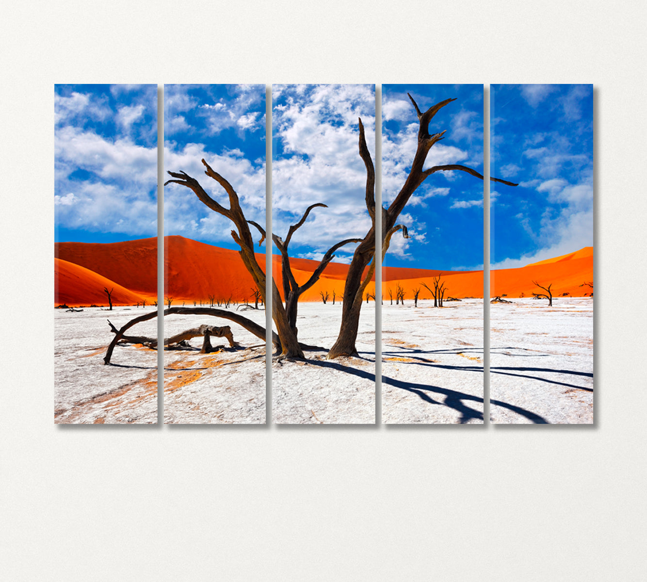 Dead Camel Thorns Trees in Namib Desert Africa Canvas Print-Canvas Print-CetArt-5 Panels-36x24 inches-CetArt