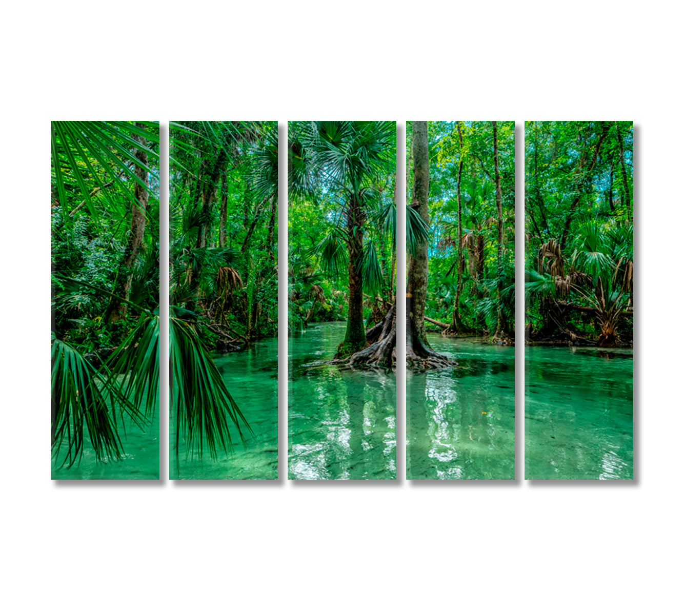 Kelly Park Trees Florida Canvas Print-Canvas Print-CetArt-5 Panels-36x24 inches-CetArt