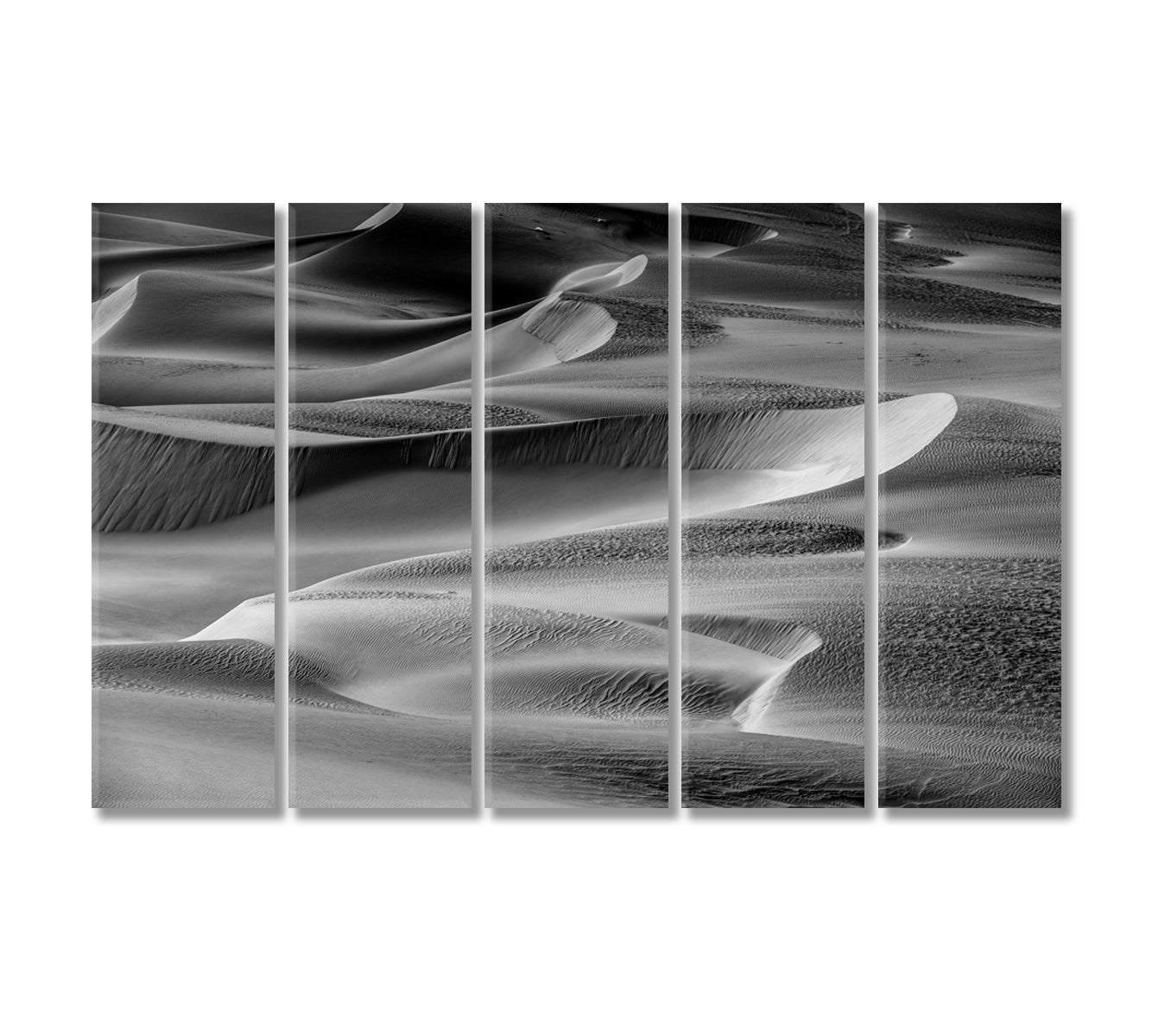 Desert in Black and White Canvas Print-Canvas Print-CetArt-5 Panels-36x24 inches-CetArt