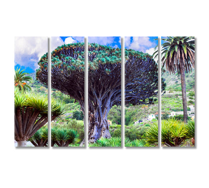 Dragon Tree Canary Island Tenerife Canvas Print-Canvas Print-CetArt-5 Panels-36x24 inches-CetArt