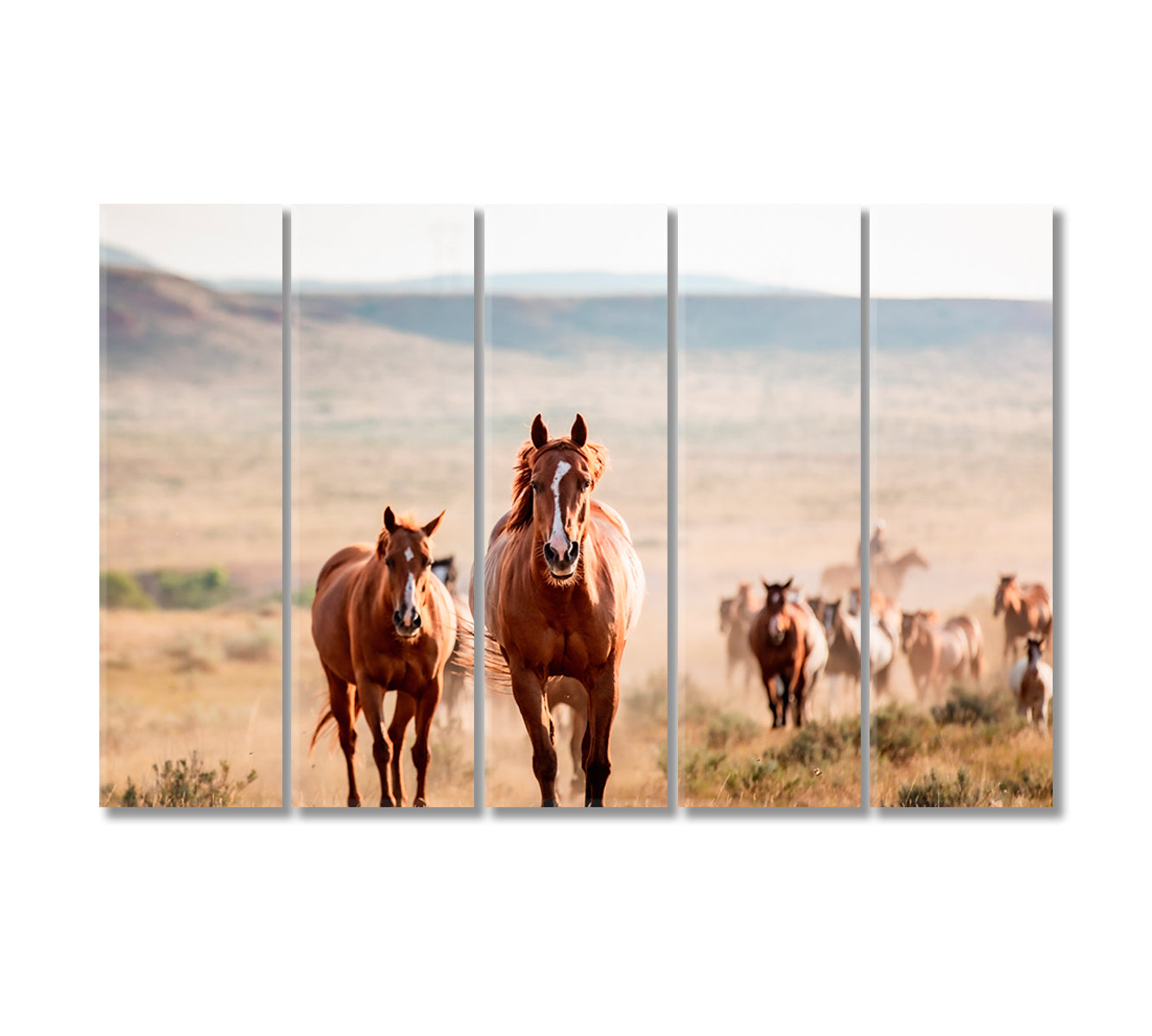 Pryor Mountain Horses Canvas Print-Canvas Print-CetArt-5 Panels-36x24 inches-CetArt