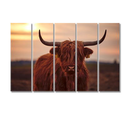 Scottish Highland Cattle Canvas Print-Canvas Print-CetArt-5 Panels-36x24 inches-CetArt