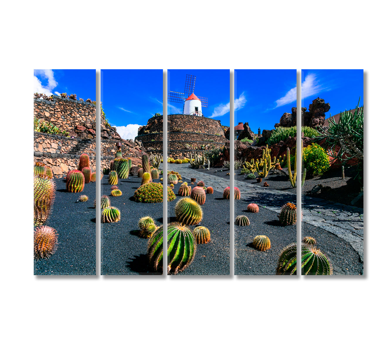 Lanzarote Island Botanical Cactus Garden Canary Islands Canvas Print-Canvas Print-CetArt-5 Panels-36x24 inches-CetArt