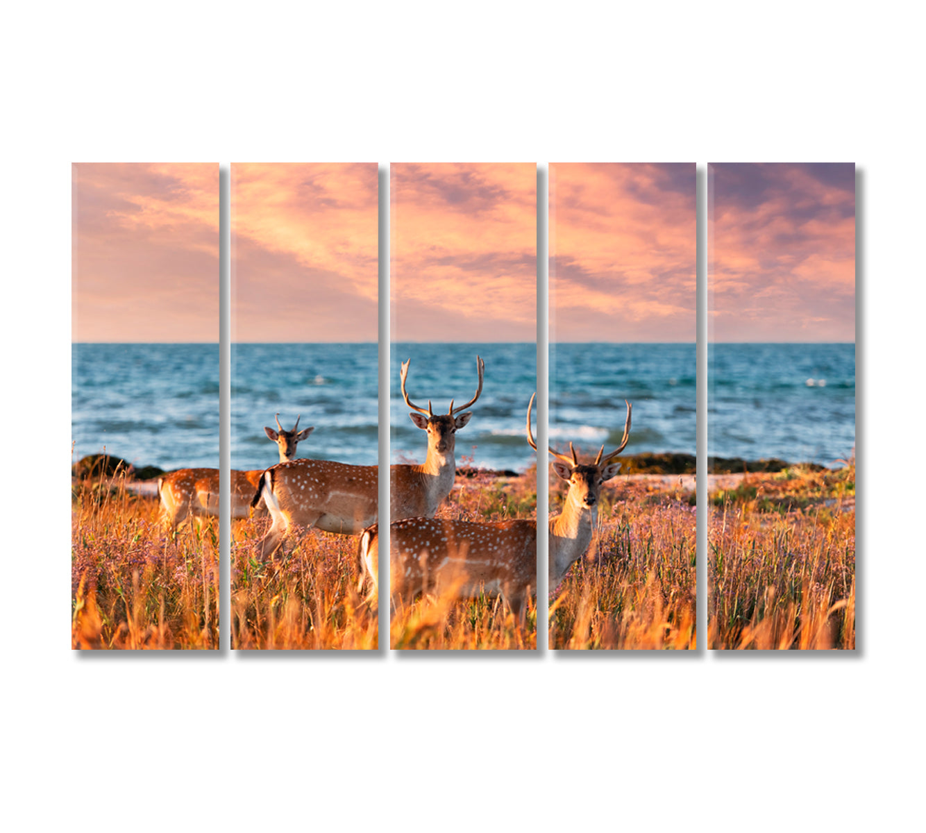 Sea Landscape with Sika Deer Family Canvas Print-Canvas Print-CetArt-5 Panels-36x24 inches-CetArt