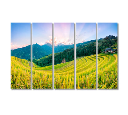 Rice Fields Hoang Su Phi Country North Vietnam Canvas Print-Canvas Print-CetArt-5 Panels-36x24 inches-CetArt