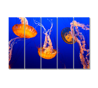 Orange Jellyfish Canvas Print-Canvas Print-CetArt-5 Panels-36x24 inches-CetArt