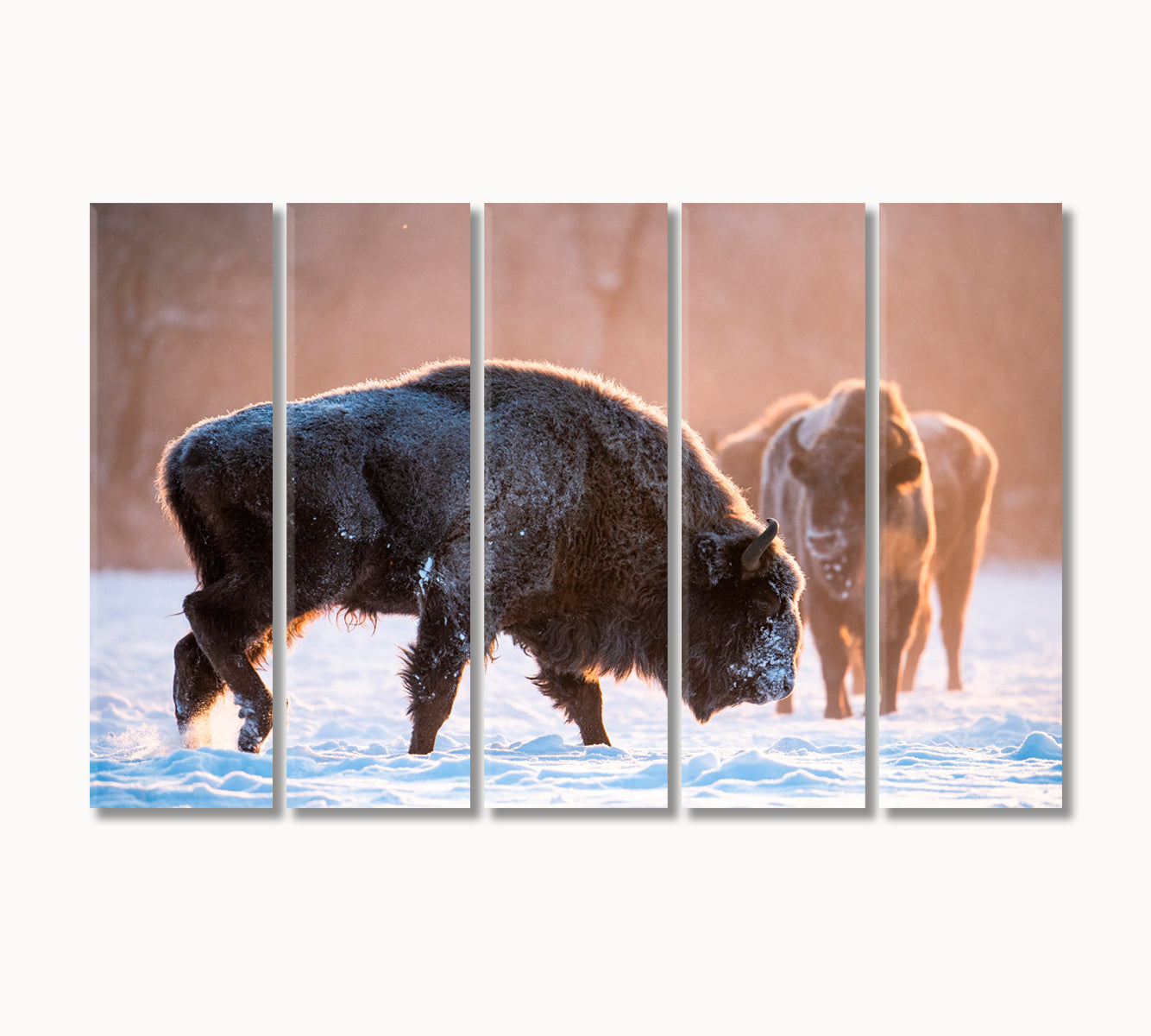 Bisons in the Winter Wild Canvas Print-Canvas Print-CetArt-5 Panels-36x24 inches-CetArt