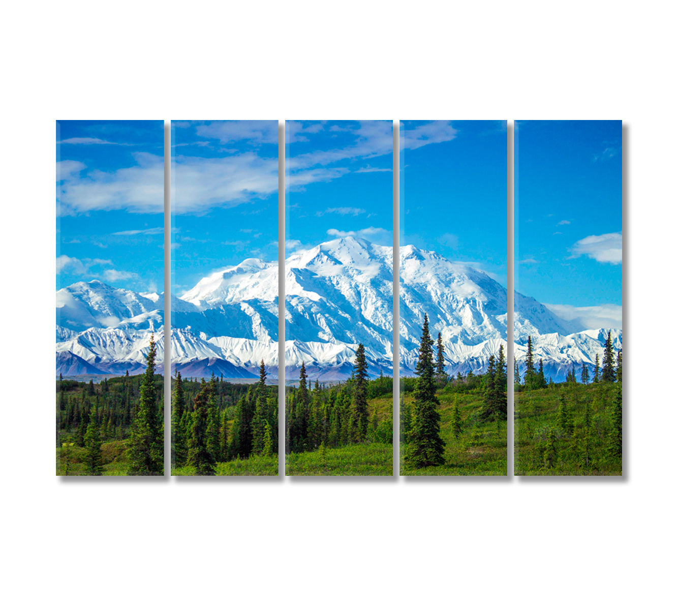 Mount Denali North America Landscape Canvas Print-Canvas Print-CetArt-5 Panels-36x24 inches-CetArt