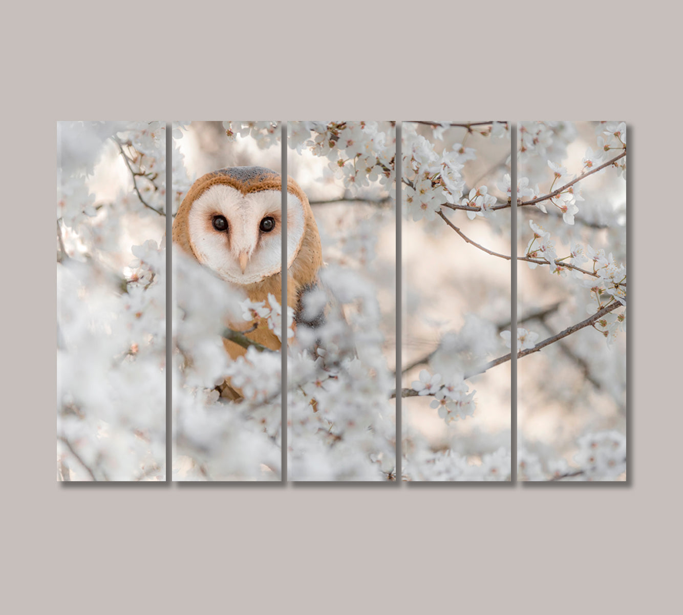 Bird Barn Owl on Blooming Cherry Canvas Print-Canvas Print-CetArt-5 Panels-36x24 inches-CetArt