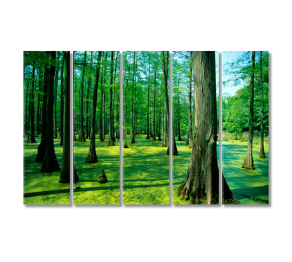 Heron Pond Bald Cypress Trees Illinois Canvas Print-Canvas Print-CetArt-5 Panels-36x24 inches-CetArt